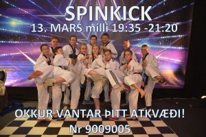 SPINKICK 1